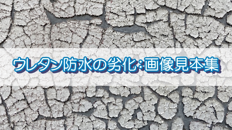 ウレタン防水の再防水が必要な劣化:画像見本集(随時更新)