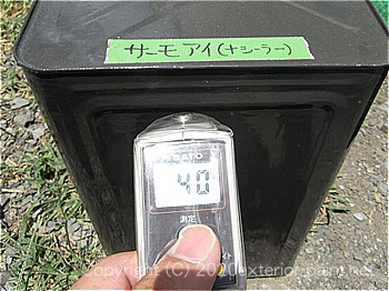 2012年8月1日12時-遮熱塗料実験（一斗缶）