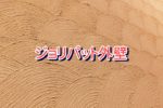 ジョリパット外壁